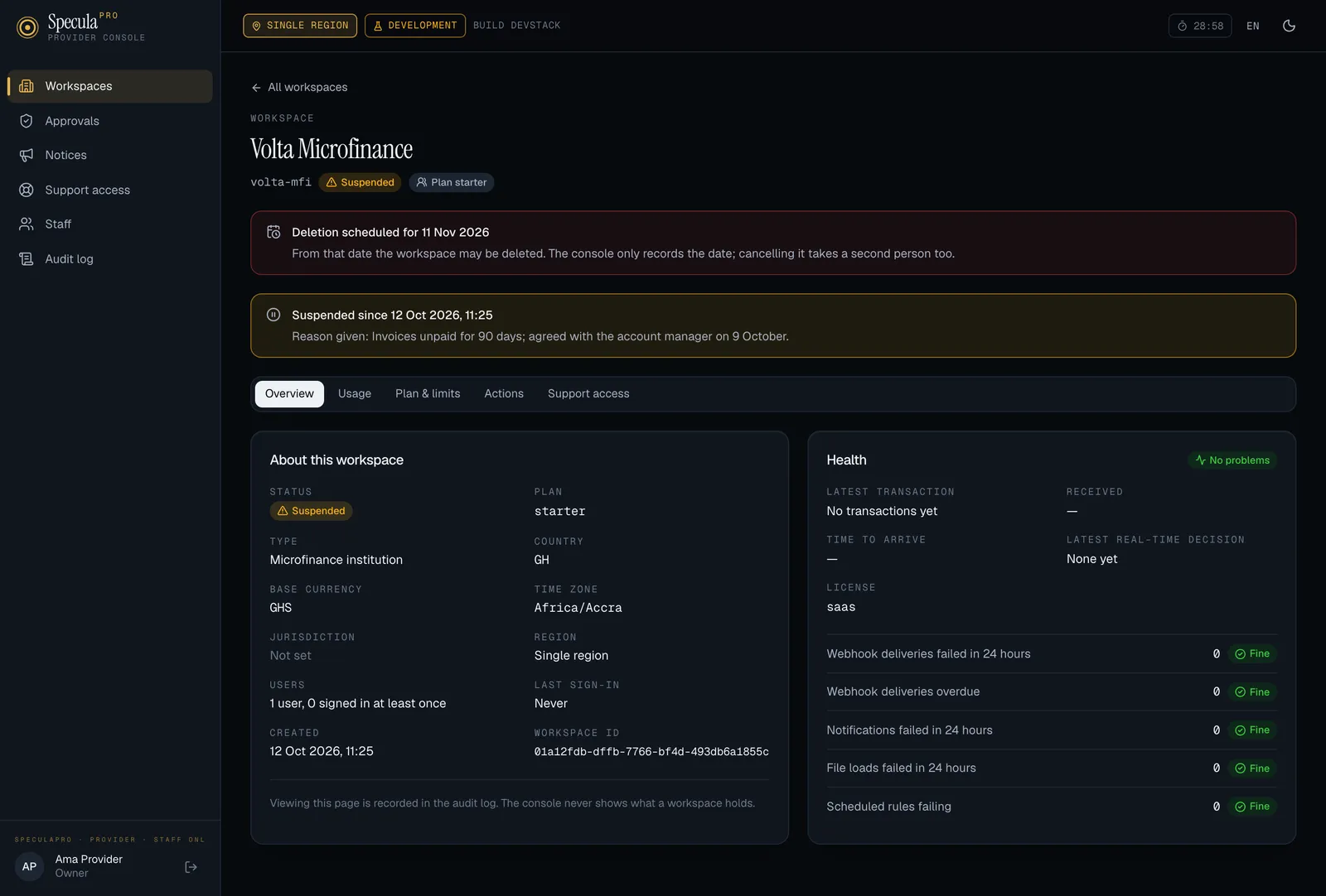 The page of a suspended workspace with a deletion scheduled: a red banner reading Deletion scheduled for 11 Nov 2026, From that date the workspace may be deleted, and an amber banner reading Suspended since 12 Oct 2026 with the reason given, above the Overview tab