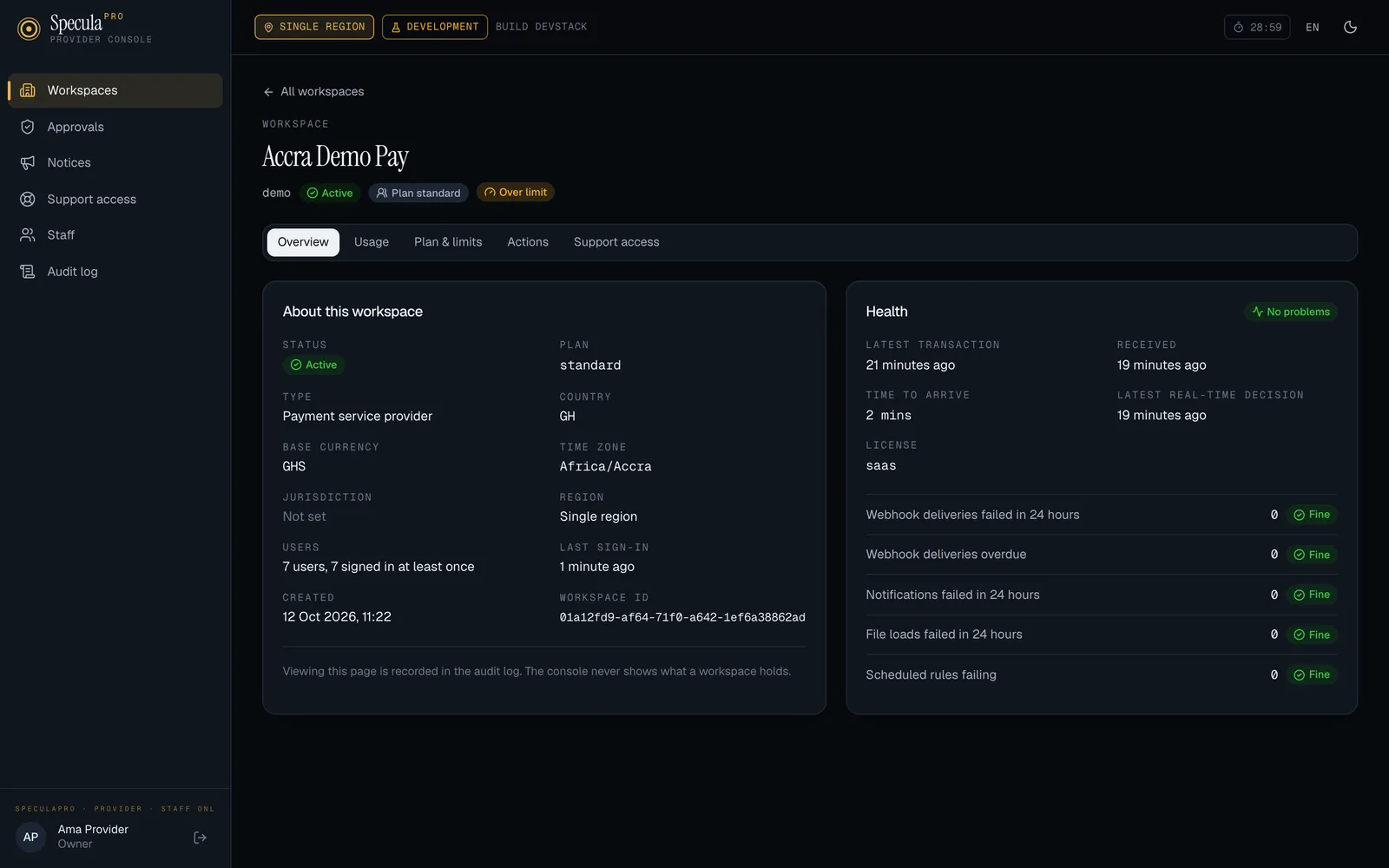 A workspace's page in the console on the Overview tab, with tabs for Usage, Plan & limits, Actions and Support access, and Active, Plan standard and Over limit badges under the name. About this workspace lists status, plan, type, country, base currency, time zone, jurisdiction, region, users, last sign-in, created and workspace ID; the Health panel says No problems, with times for the latest transaction and decision, the licence, and five counts at 0, each marked Fine