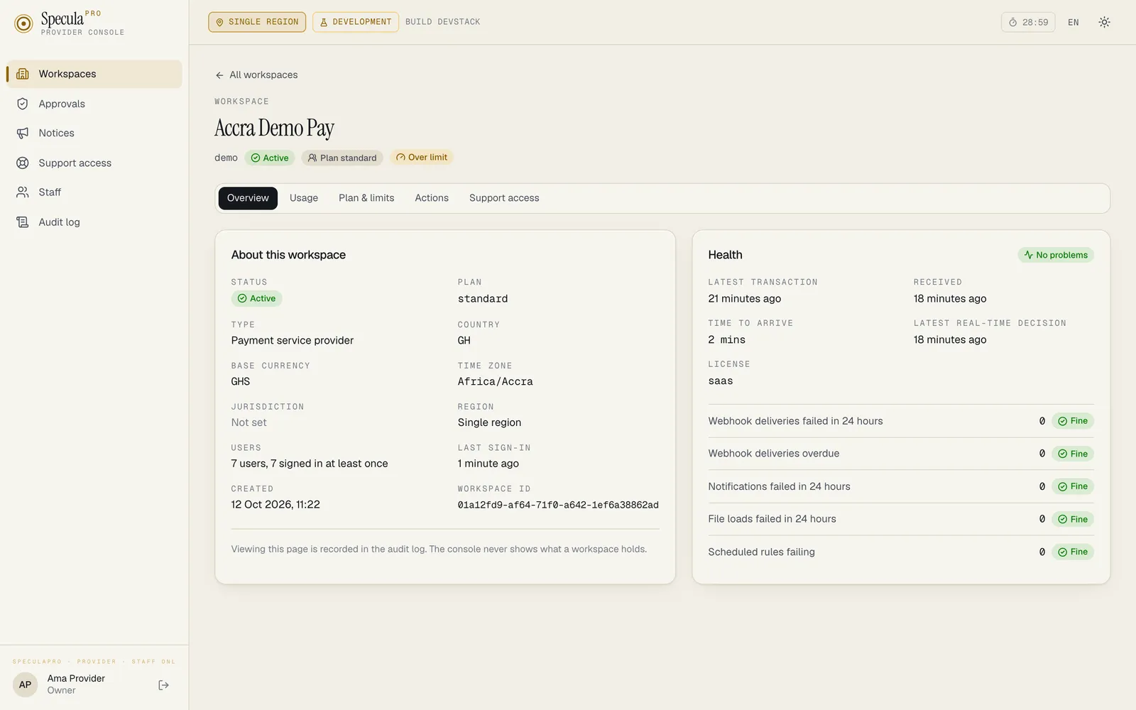 A workspace's page in the console on the Overview tab, with tabs for Usage, Plan & limits, Actions and Support access, and Active, Plan standard and Over limit badges under the name. About this workspace lists status, plan, type, country, base currency, time zone, jurisdiction, region, users, last sign-in, created and workspace ID; the Health panel says No problems, with times for the latest transaction and decision, the licence, and five counts at 0, each marked Fine
